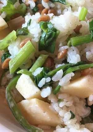 納豆とリンゴのほうれん草ご飯-レシピのメイン写真