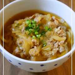 รูปของ おろし肉うどん