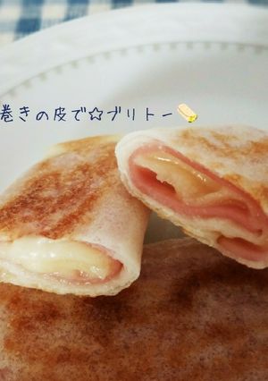春巻きの皮で☆簡単ブリトー-レシピのメイン写真