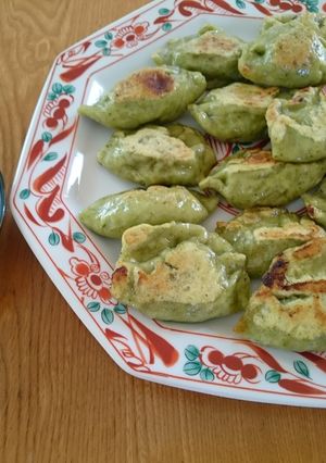 皮から手作りヴィーガン餃子-レシピのメイン写真