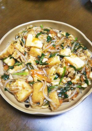 きむら家の厚揚げのいろいろ野菜あんかけ-レシピのメイン写真