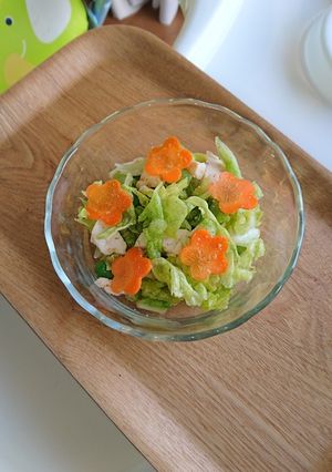 春色☆彩りチキンサラダ-レシピのメイン写真