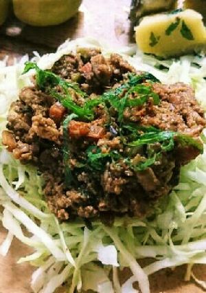 おいしいよ！高野豆腐でベジ肉みそ風-レシピのメイン写真
