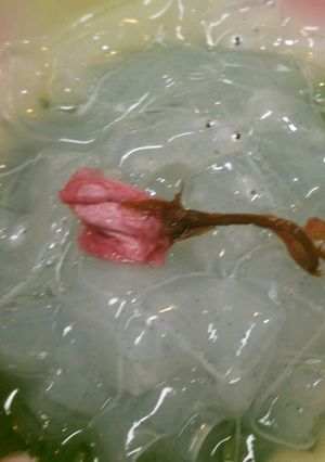 のれそれ（アナゴの稚魚）の食べ方-レシピのメイン写真