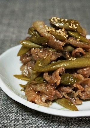 豚肉とごんぱち(イタドリ)のきんぴら風-レシピのメイン写真