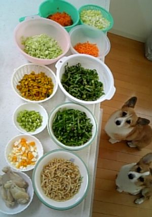 ≪わんこ飯≫　　　野菜ストック-レシピのメイン写真