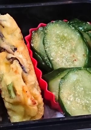 キウリの胡麻レモン酢和え-レシピのメイン写真