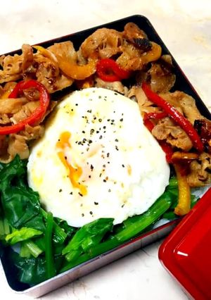ズボラで愛♡生姜焼き弁当-レシピのメイン写真
