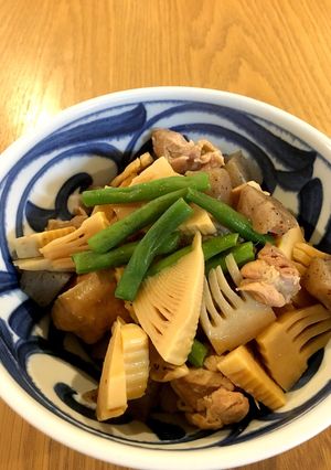 春たけのこと鶏肉の煮物-レシピのメイン写真