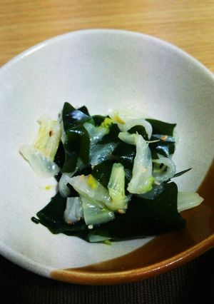 白菜とワカメのカラシ和え-レシピのメイン写真