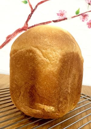 大麦粉入りの黒糖食パン-レシピのメイン写真