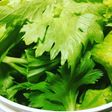 セルリー葉の作り置きふりかけ