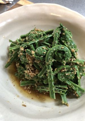 こごみの胡麻和え　～春爛漫～-レシピのメイン写真