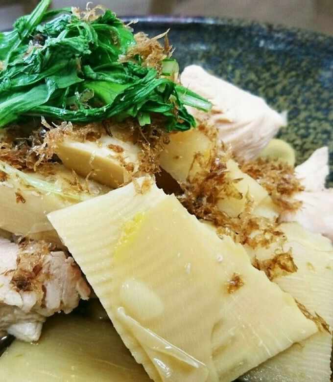 クックパッド 自家製醤油で新筍と鳥胸肉のサッパリ煮 by キッチンスクープ