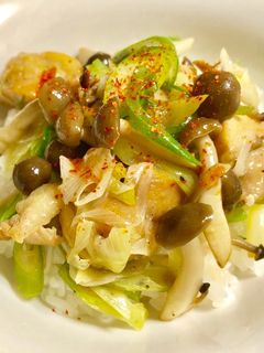 かんたん鶏と長ねぎとしめじのせごはん-レシピのメイン写真