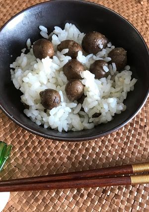 むかごごはん-レシピのメイン写真