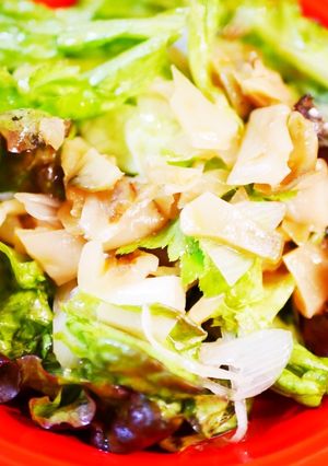 ザーサイと香味野菜のおつまみサラダ-レシピのメイン写真