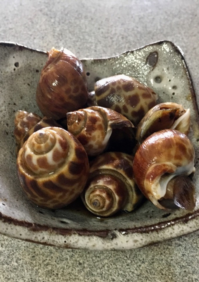 貝を柔らかく煮る方法-レシピのメイン写真