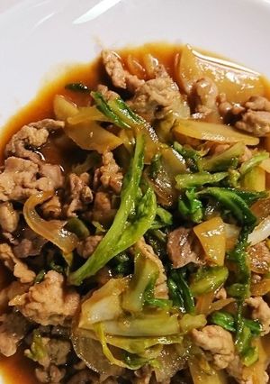 春キャベツの外葉でおいしい炒め物-レシピのメイン写真