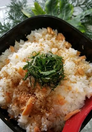 辛め鮭で鮭ご飯-レシピのメイン写真
