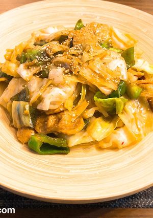 ヘルシー!大豆肉で回鍋肉-レシピのメイン写真