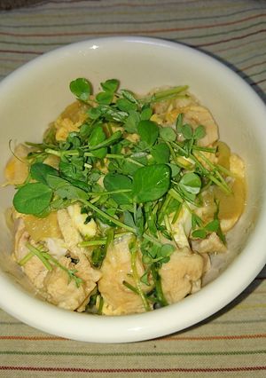 むね肉でプリプリ親子丼(^-^)/-レシピのメイン写真