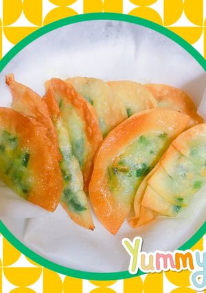 野菜と大豆のみのヘルシー餃子-レシピのメイン写真