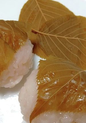 桜餅の葉(1年以上保存OK♪)-レシピのメイン写真