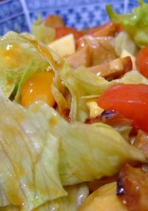 鳥の照り焼きサラダ-レシピのメイン写真