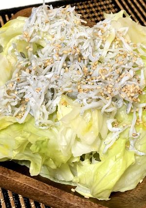 誰でも出来る♪簡単レタスとしらすのサラダ-レシピのメイン写真