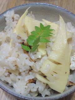 土鍋で炊く筍ごはん-レシピのメイン写真