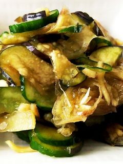 夏野菜の浅漬け-レシピのメイン写真