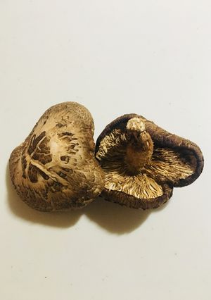 干し椎茸の作り方-レシピのメイン写真