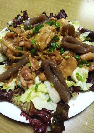 鶏肉とコンニャクとごぼうのテリチキ風♡-レシピのメイン写真