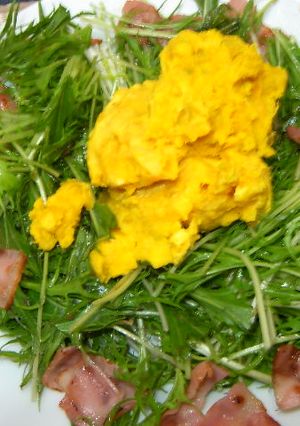 かぼちゃと水菜のサラダ-レシピのメイン写真