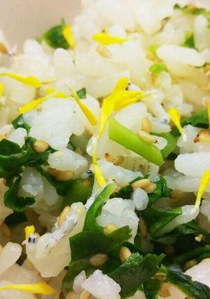 みつばとしらす 春の旬菜ごはん-レシピのメイン写真