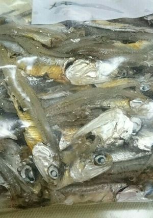 ジッパー袋一つで簡単☆やわらか小魚-レシピのメイン写真