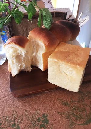 キューブ型☆ミニ食パン-レシピのメイン写真