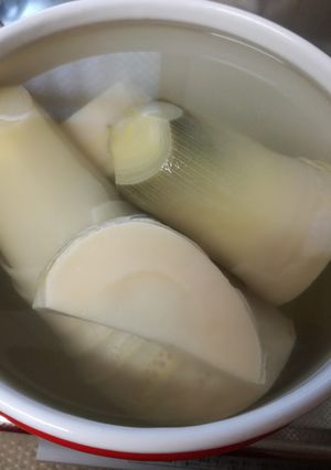 茹でたけのこ-レシピのメイン写真