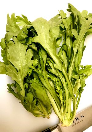 葉物野菜を冷蔵庫で保存~♪-レシピのメイン写真