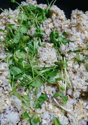 豆腐そぼろ煮とゆかりで混ぜご飯(^-^)-レシピのメイン写真
