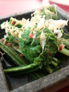 こごみの下処理〜お浸し-レシピのメイン写真
