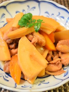 春のおもてなし✿筍と鶏肉のほっこり煮-レシピのメイン写真
