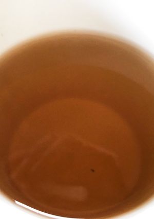 材料費、ゼロ！ スギナ茶の作り方♪-レシピのメイン写真