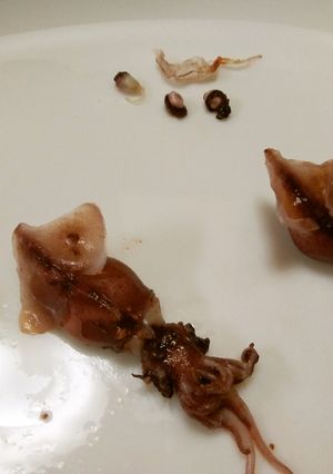 クセになる♪ホタルイカの下ごしらえ-レシピのメイン写真