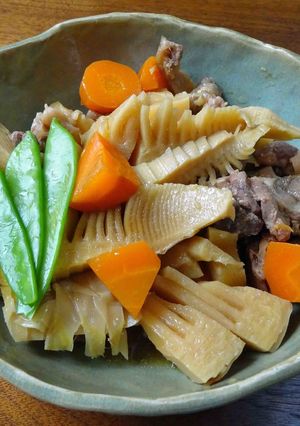 たけのこと鶏肉の煮込み-レシピのメイン写真