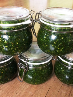 ベアラオホBärlauchのPesto-レシピのメイン写真
