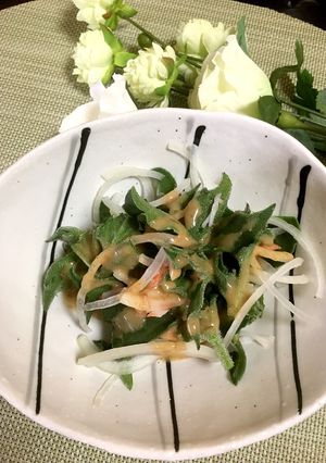 アイスプラントぷちぷちサラダ-レシピのメイン写真