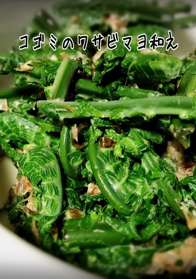 コゴミのワサビマヨ和え-レシピのメイン写真
