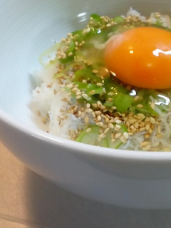 ねぎごましらす丼-レシピのメイン写真